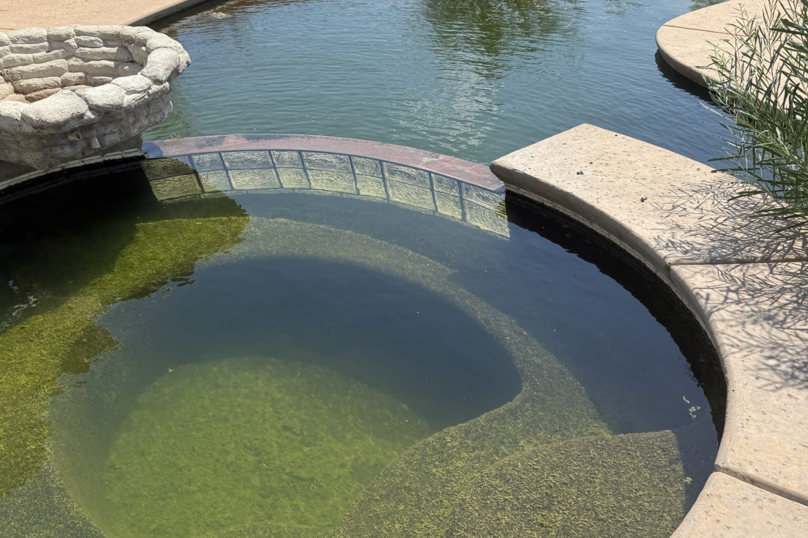 A backyard spa green with algae before Providence Pool Care service