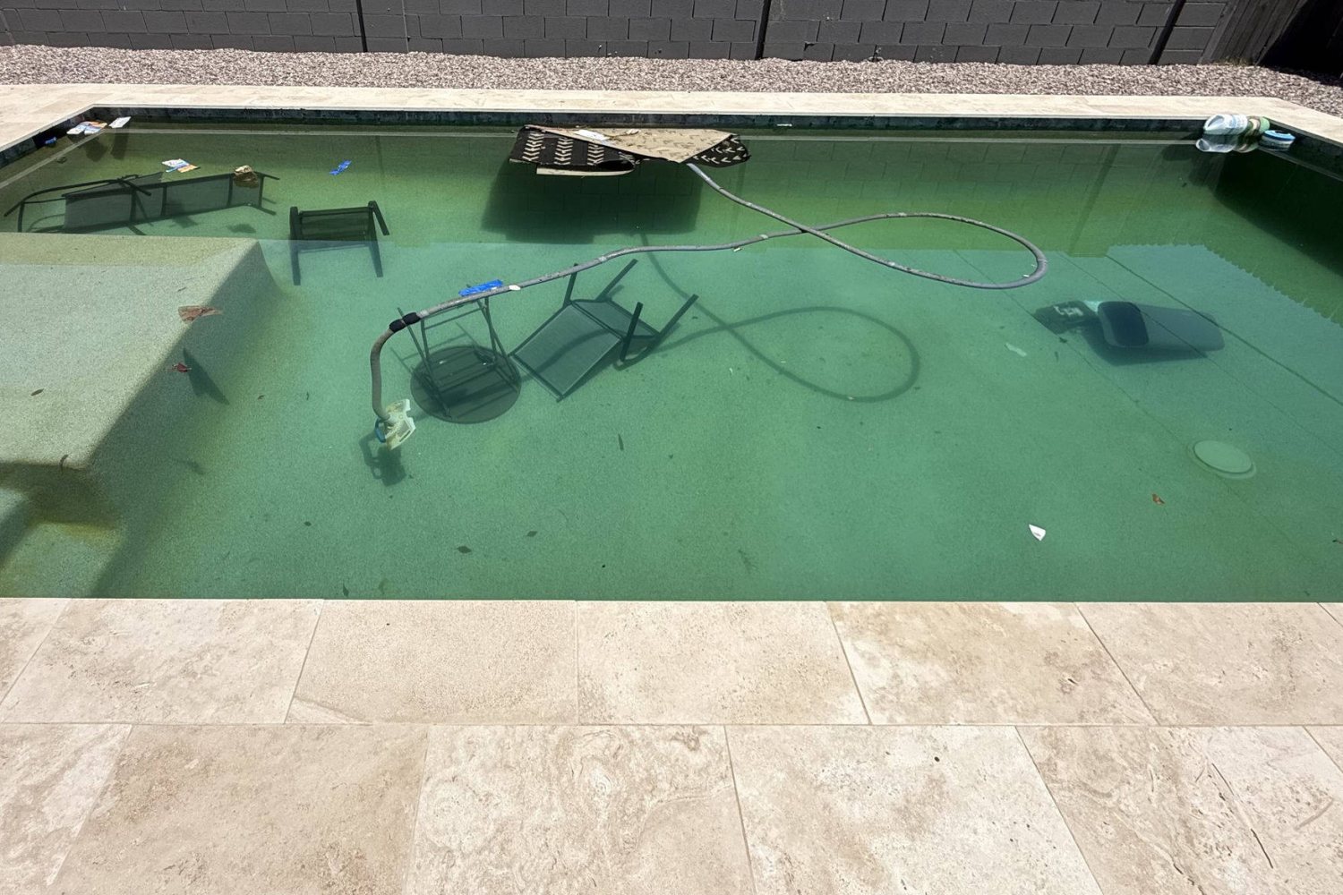 A rectangular backyard pool full of green water and submerged patio furniture before Providence Pool Care service