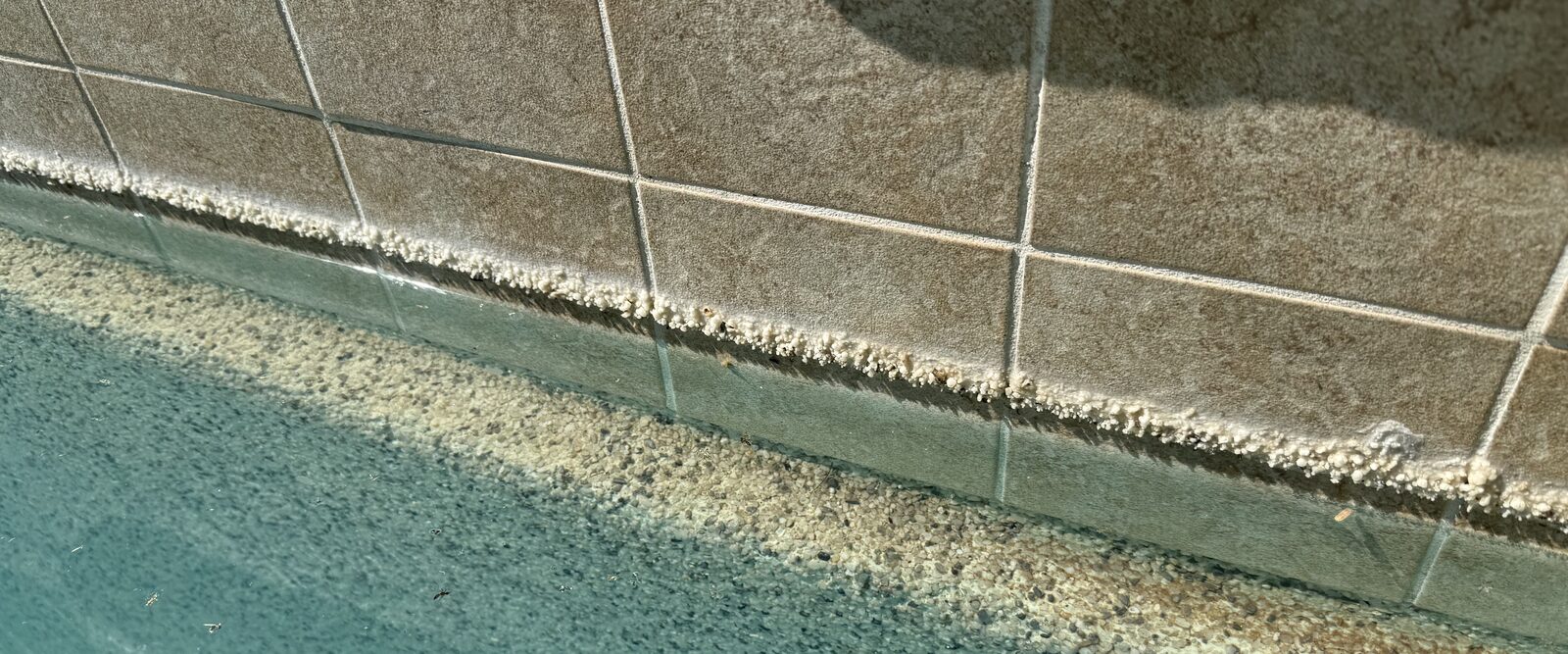 Hard calcium crust built up along the waterline tile of an East Valley pool